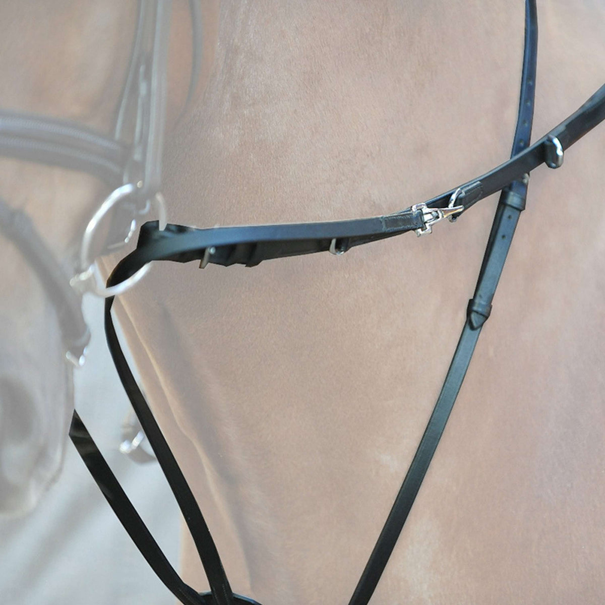 Kavalkade Riendas Thiedemann Negro