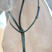 Kavalkade Martingala con Tope Negro