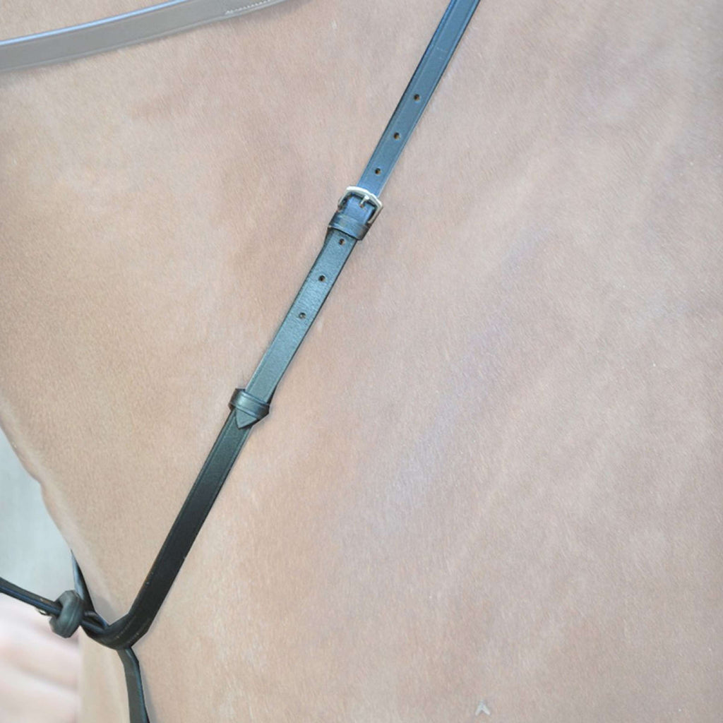 Kavalkade Martingala con Tope Negro