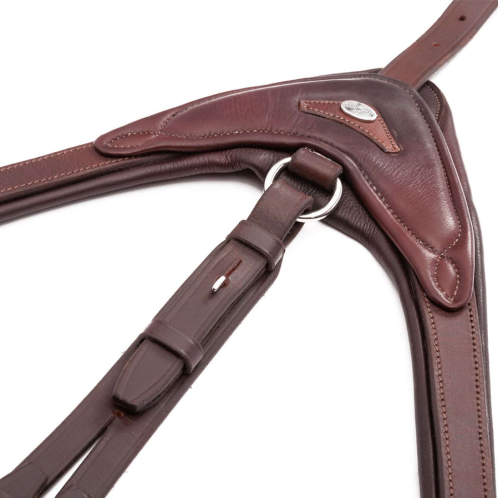 Kavalkade Martingala Azriel Marron