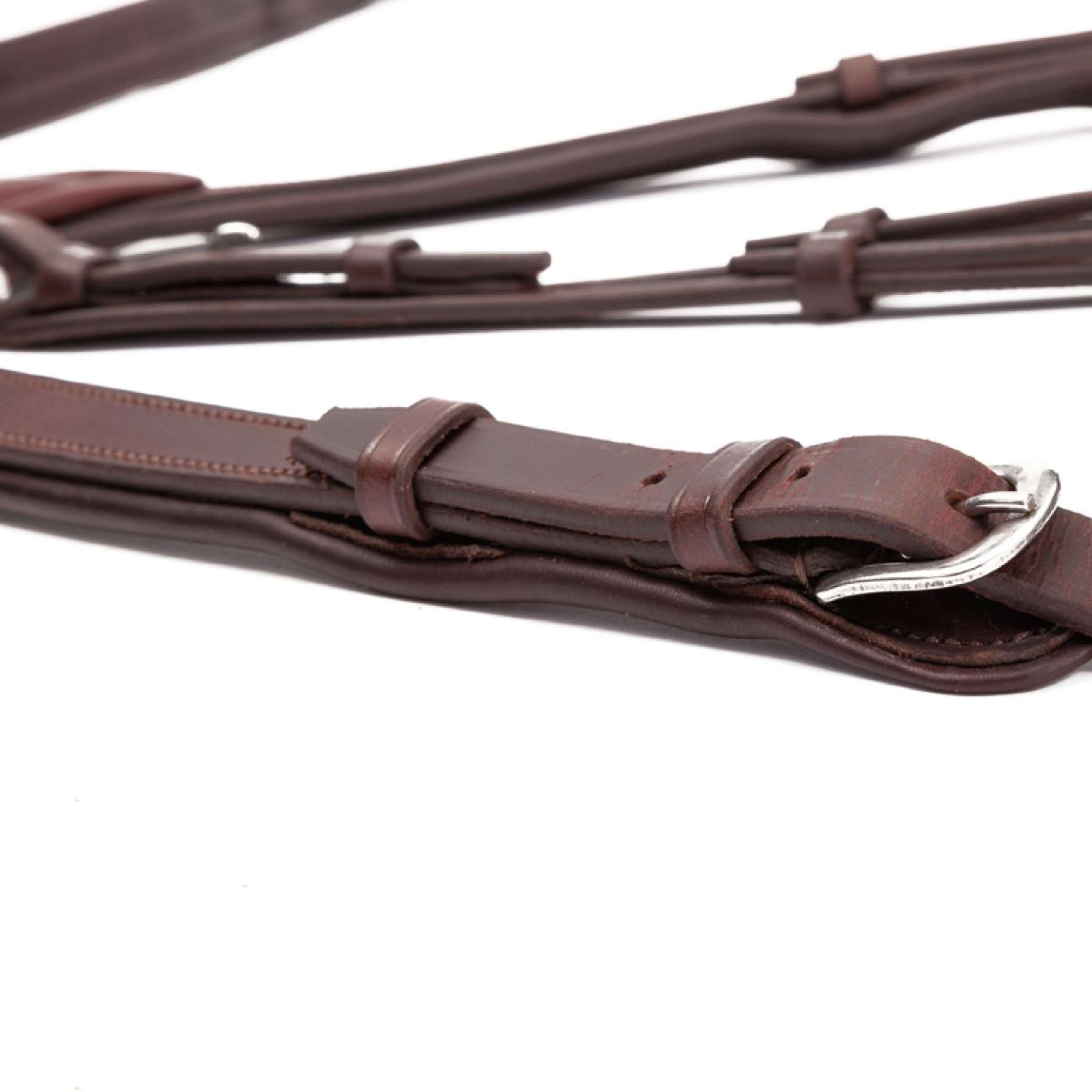 Kavalkade Martingala Azriel Marron