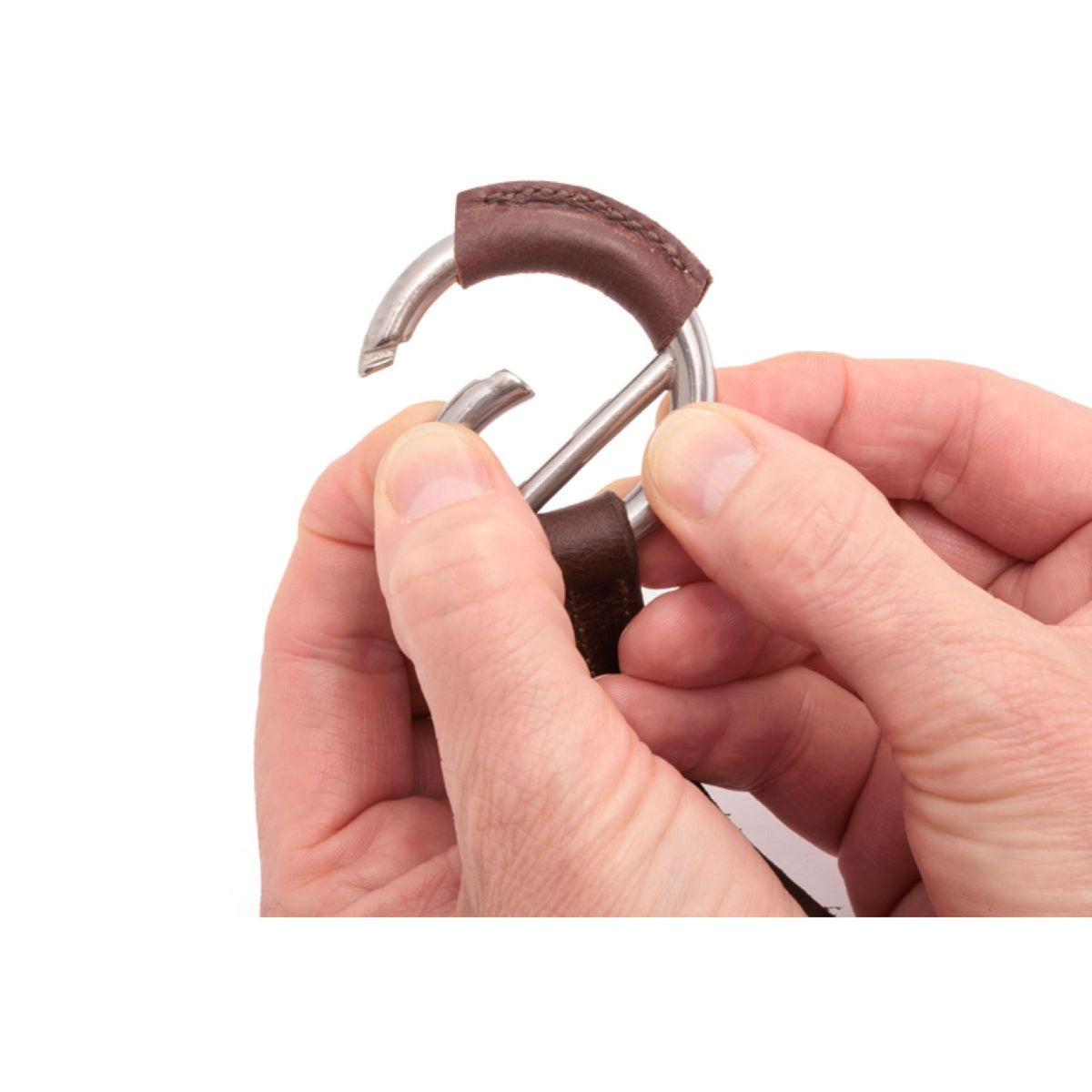 Kavalkade Martingala Azriel Marron