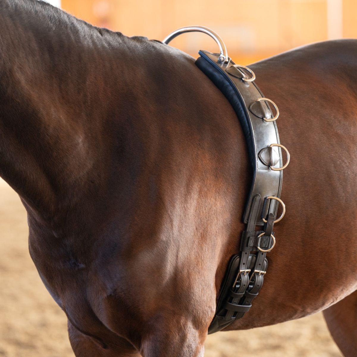 Kavalkade Cincha de Trabajo Frame Negro