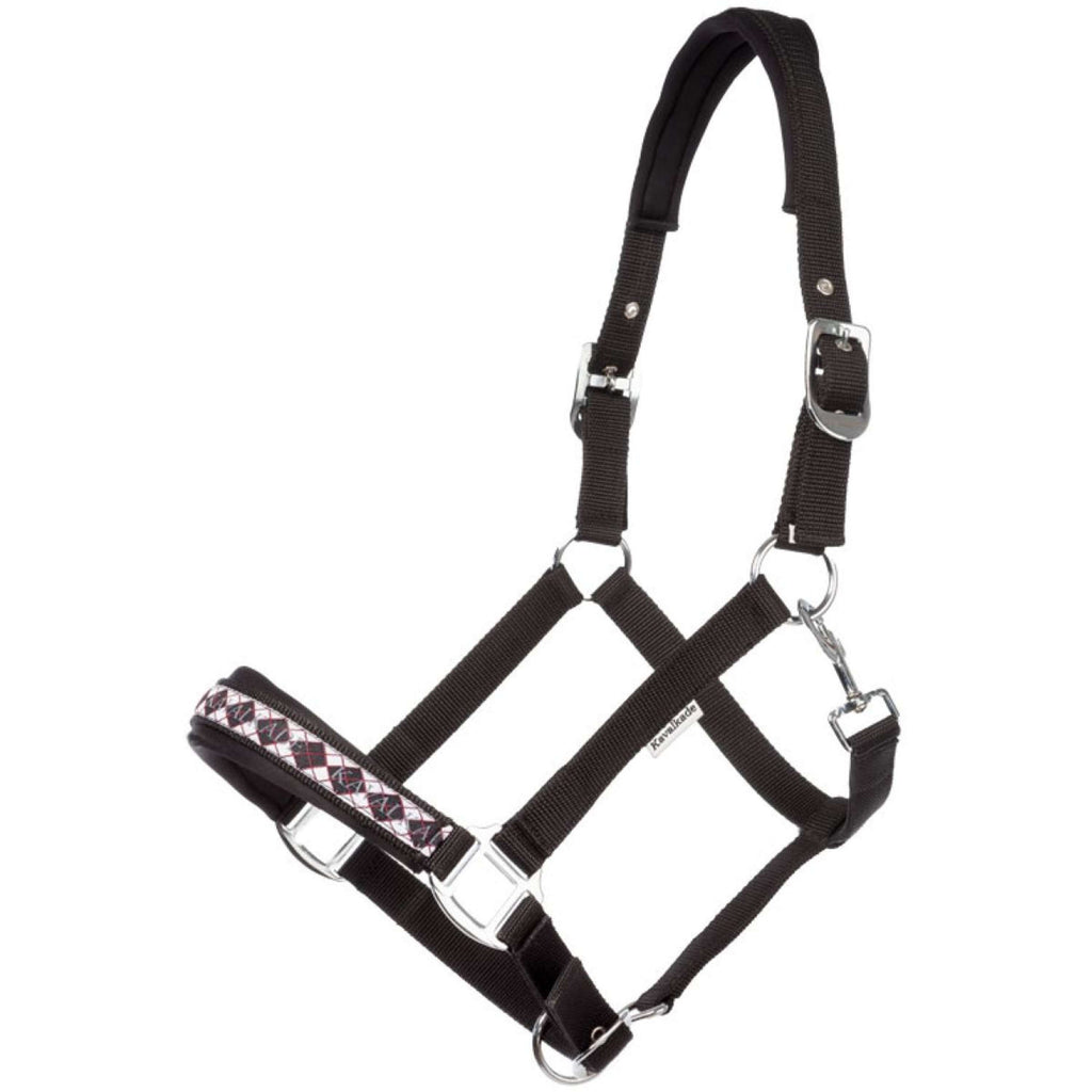 Kavalkade Cabestro de Perlon Classic Negro
