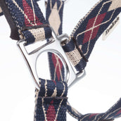 Kavalkade Cabezada Classic Raute Azul/Creme/Burdeos