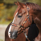 Kavalkade Cabestro Classic Raute Marron/Naranja