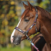 Kavalkade Cabezada Classic Raute Azul/Creme/Burdeos