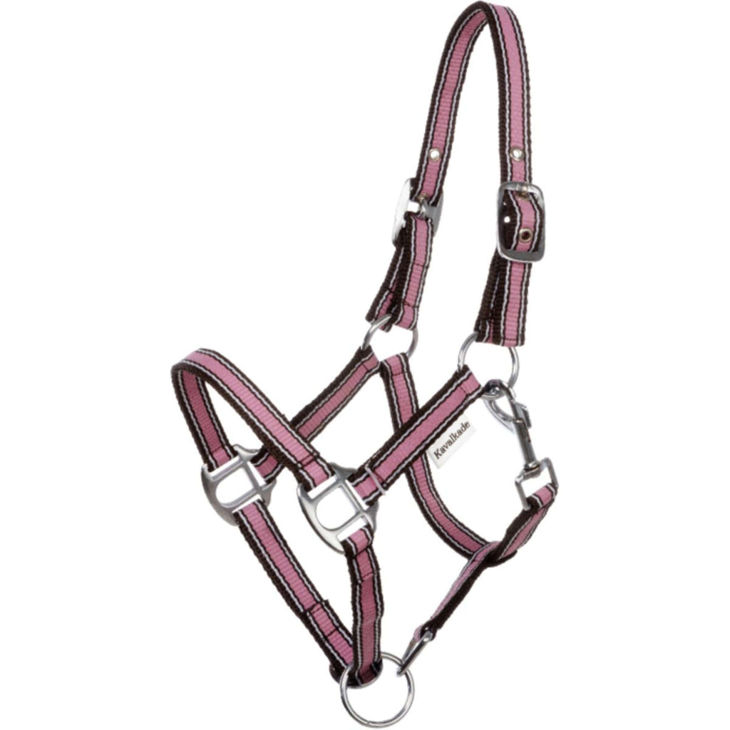Kavalkade Cabestro Shorty Rosa