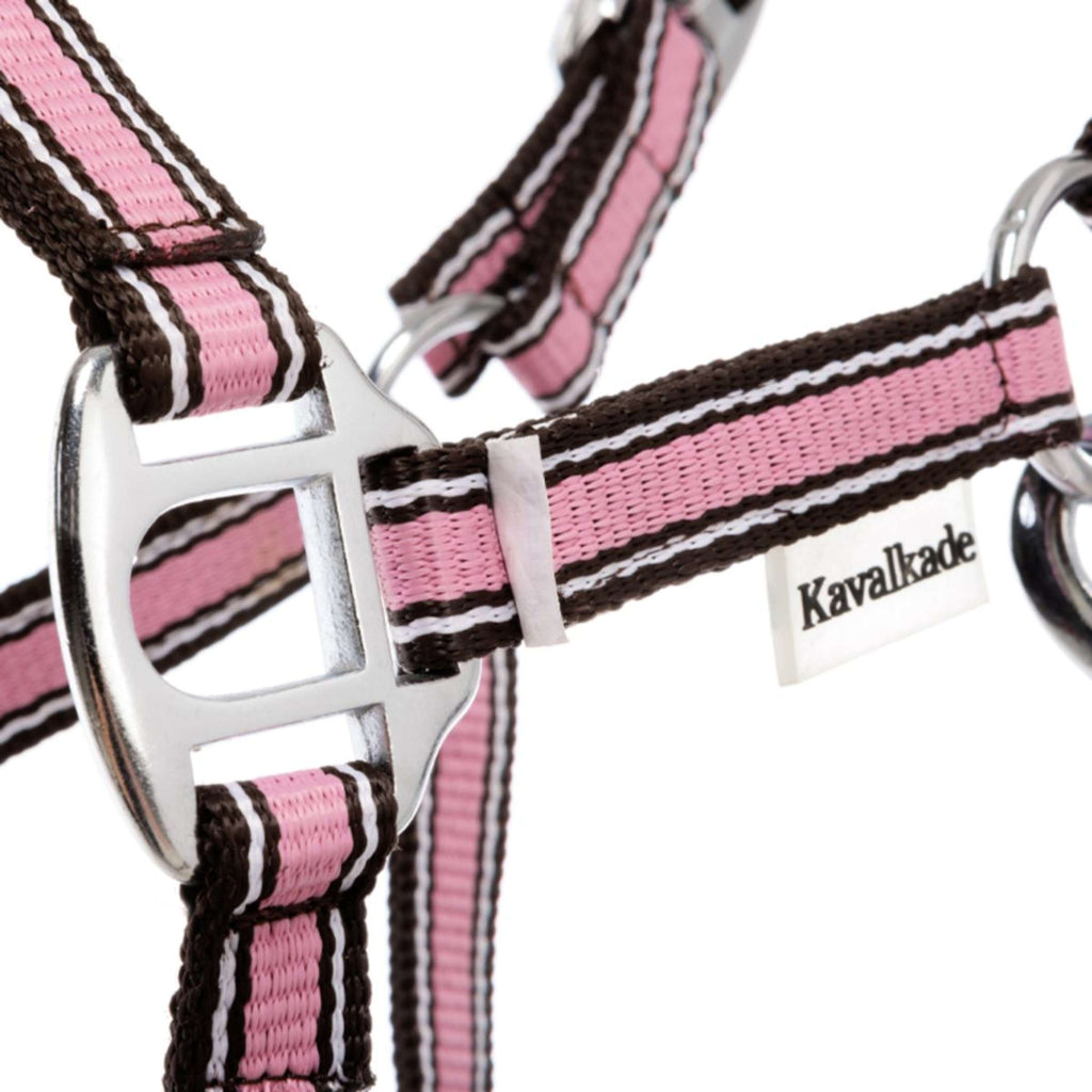 Kavalkade Cabestro Shorty Rosa