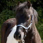 Kavalkade Cabezada Shorty Azul