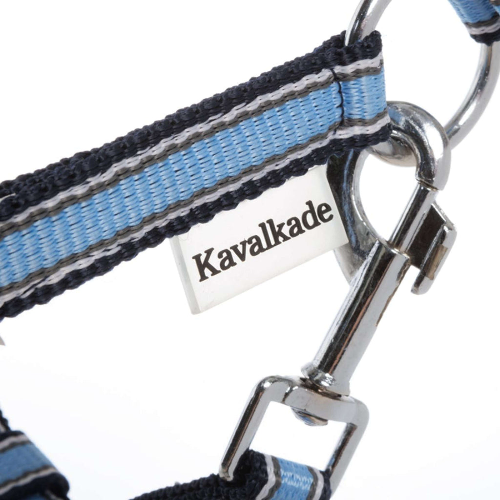 Kavalkade Cabestro Shorty Gasolina/Negro/Plata