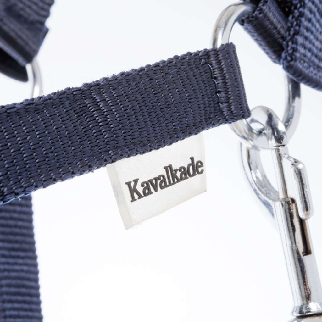 Kavalkade Cabestro Shorty Navy