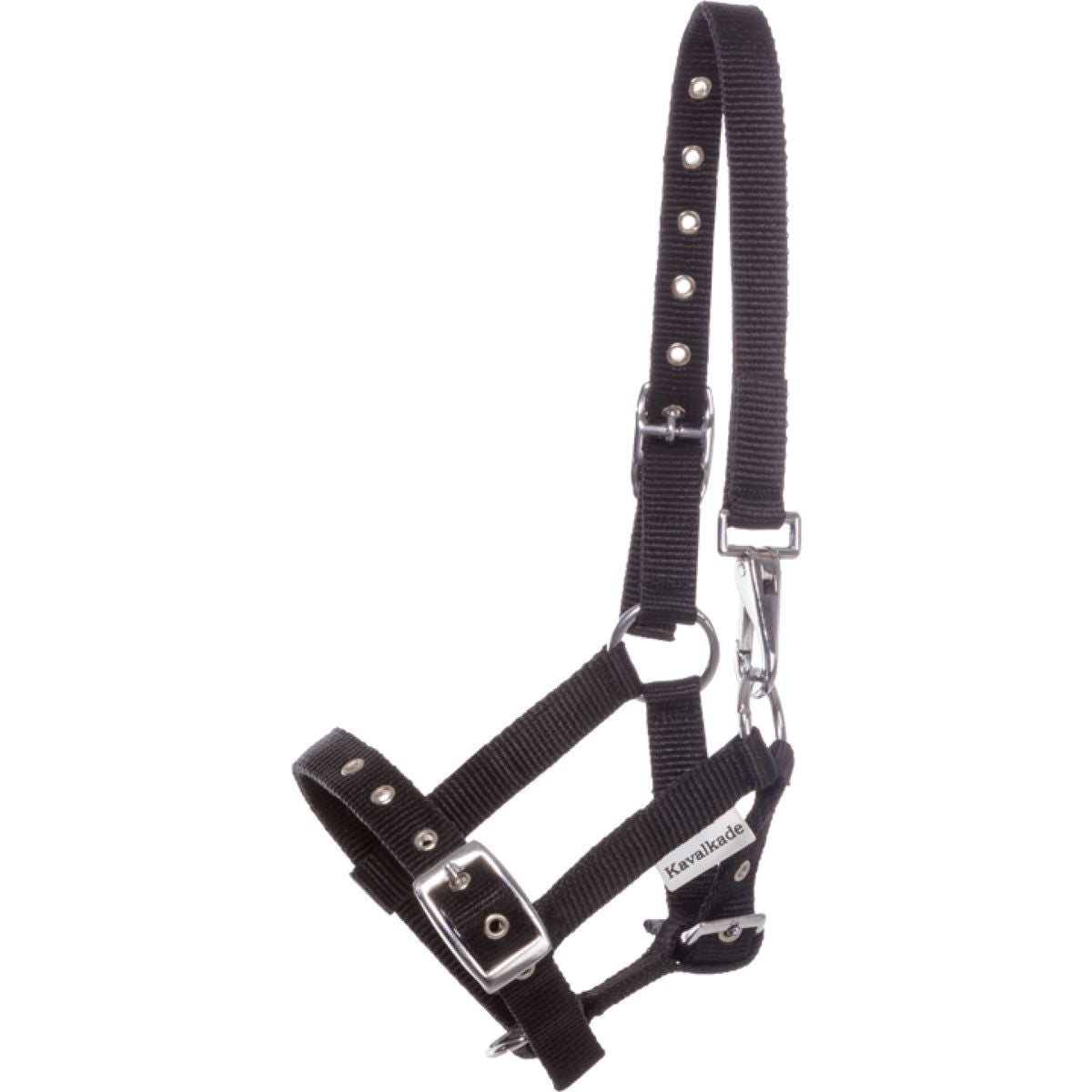 Kavalkade Cabezada Foal/Yearling Negro