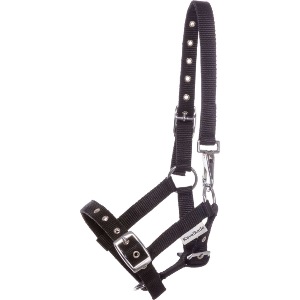 Kavalkade Cabezada Foal/Yearling Negro