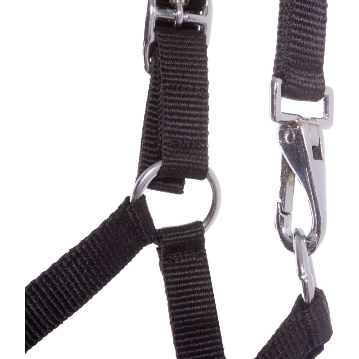 Kavalkade Cabezada Foal/Yearling Negro