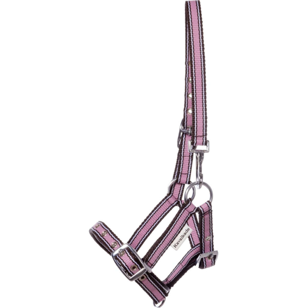 Kavalkade Cabestro para Potro y Yearling Rosa