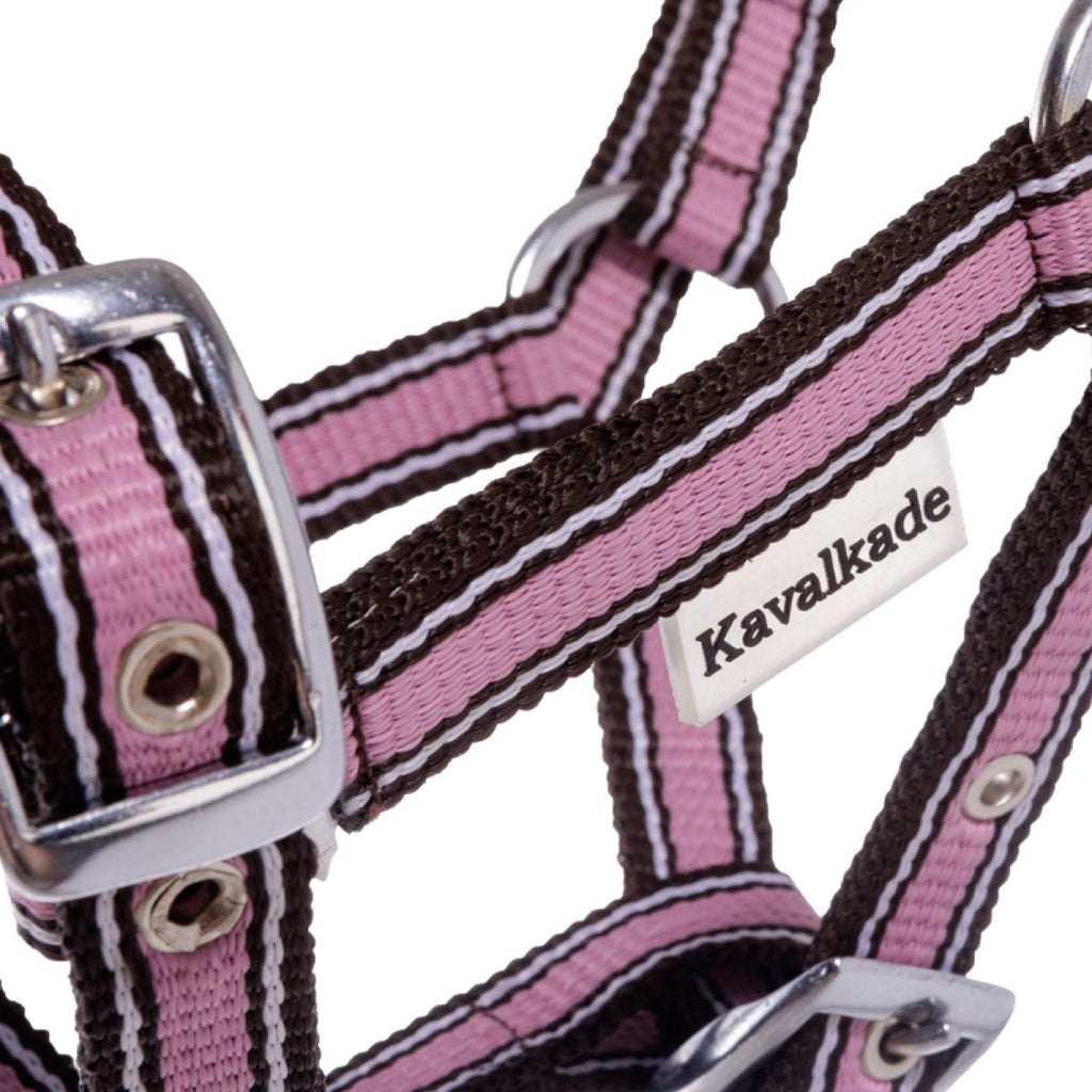 Kavalkade Cabestro para Potro y Yearling Rosa