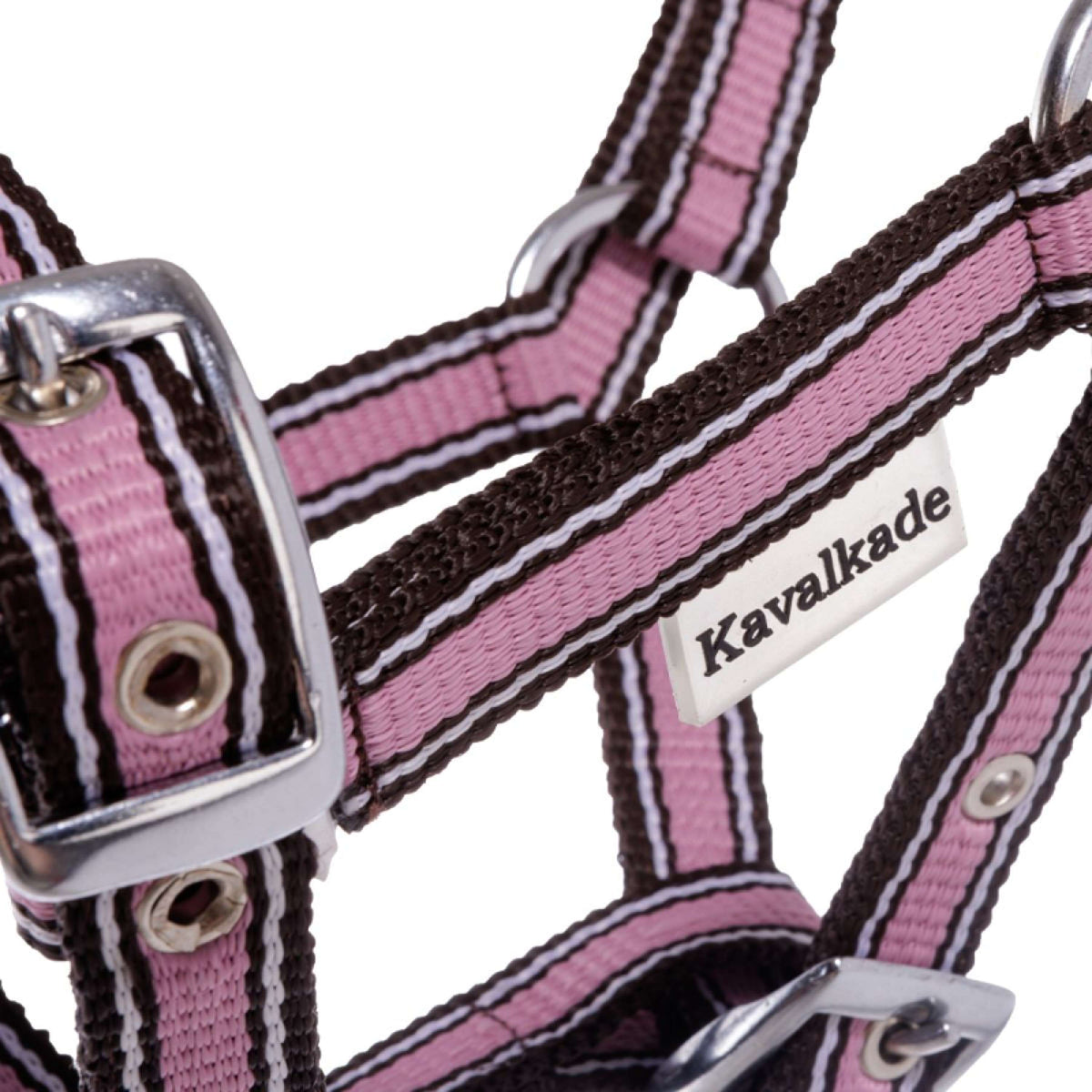 Kavalkade Cabestro Potro y Yearling Rosa