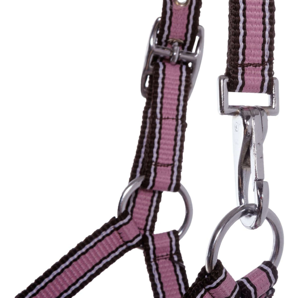 Kavalkade Cabestro para Potro y Yearling Rosa