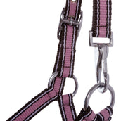 Kavalkade Cabestro Potro y Yearling Rosa