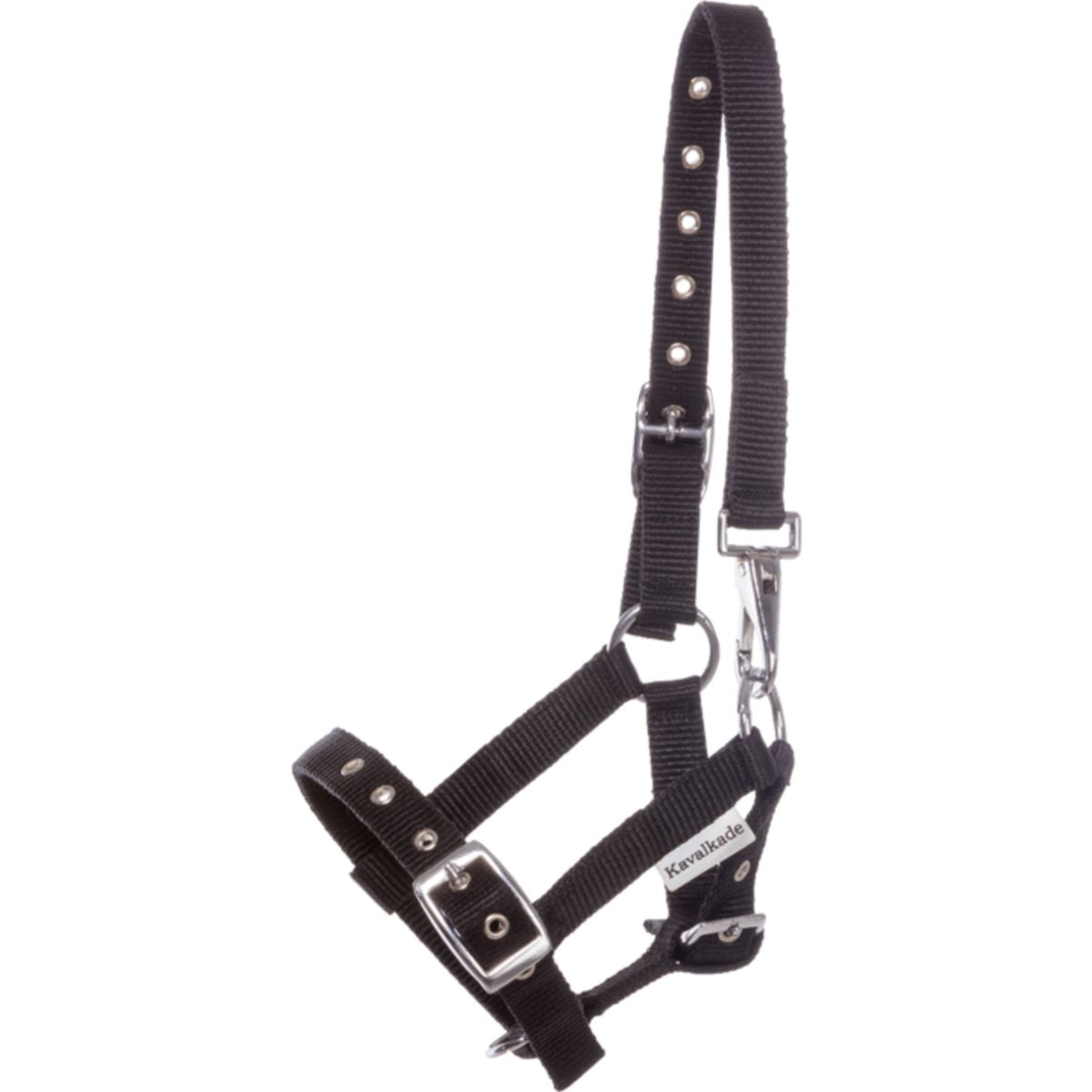 Kavalkade Cabestro Potro y Yearling Negro