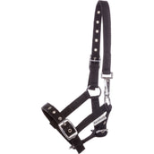 Kavalkade Cabestro Potro y Yearling Negro