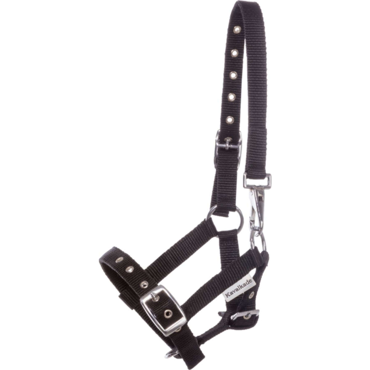 Kavalkade Cabestro Potro y Yearling Negro