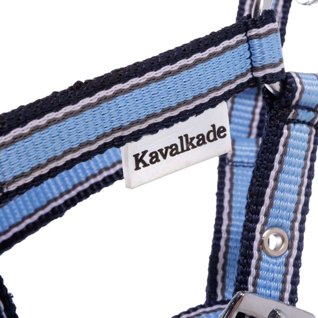 Kavalkade Cabestro Foal/Yearling Azul claro/azul marino/blanco