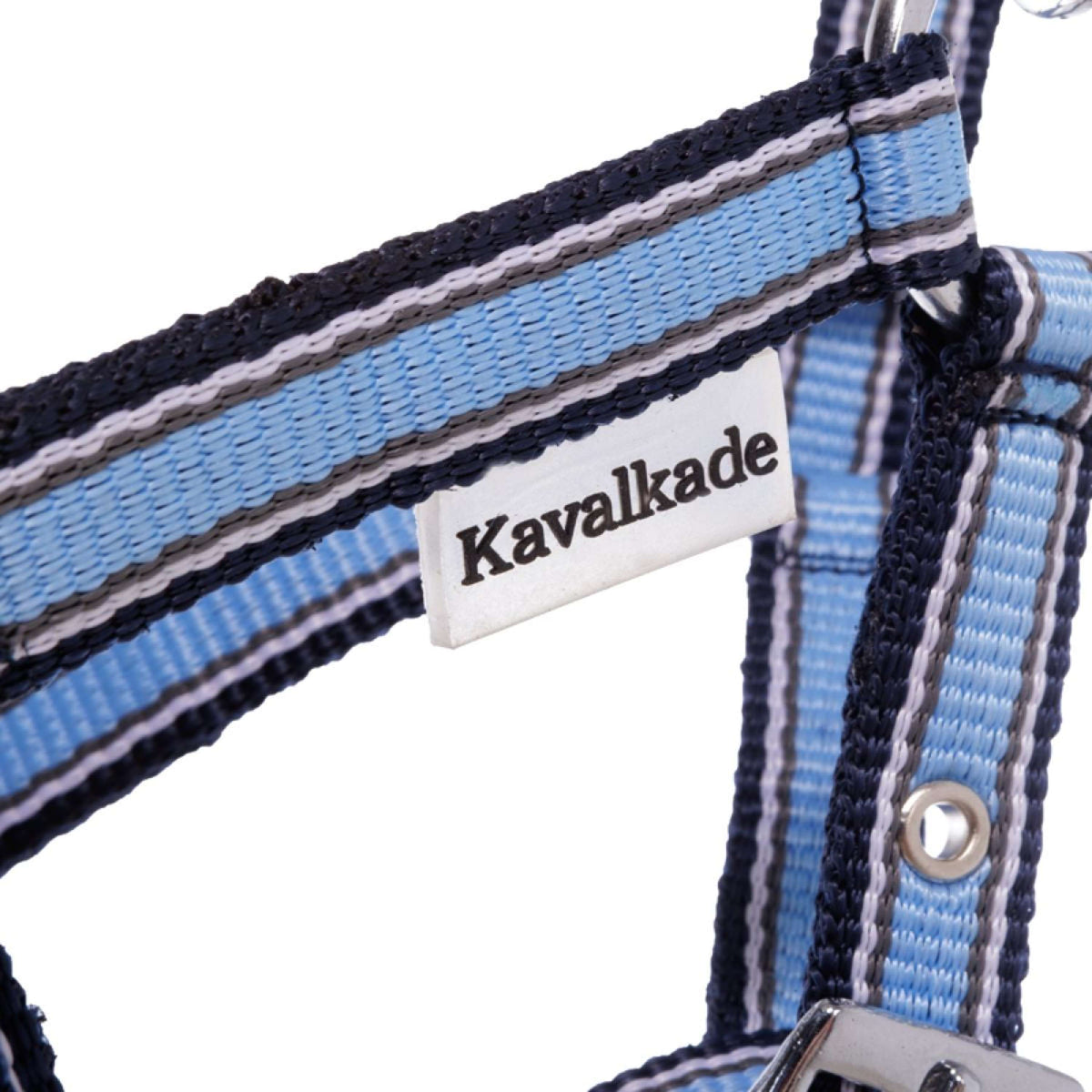 Kavalkade Cabestro Foal/Yearling Azul claro/azul marino/blanco