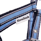 Kavalkade Cabestro Foal/Yearling Azul claro/azul marino/blanco