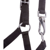 Kavalkade Cabestro Potro y Yearling Azul