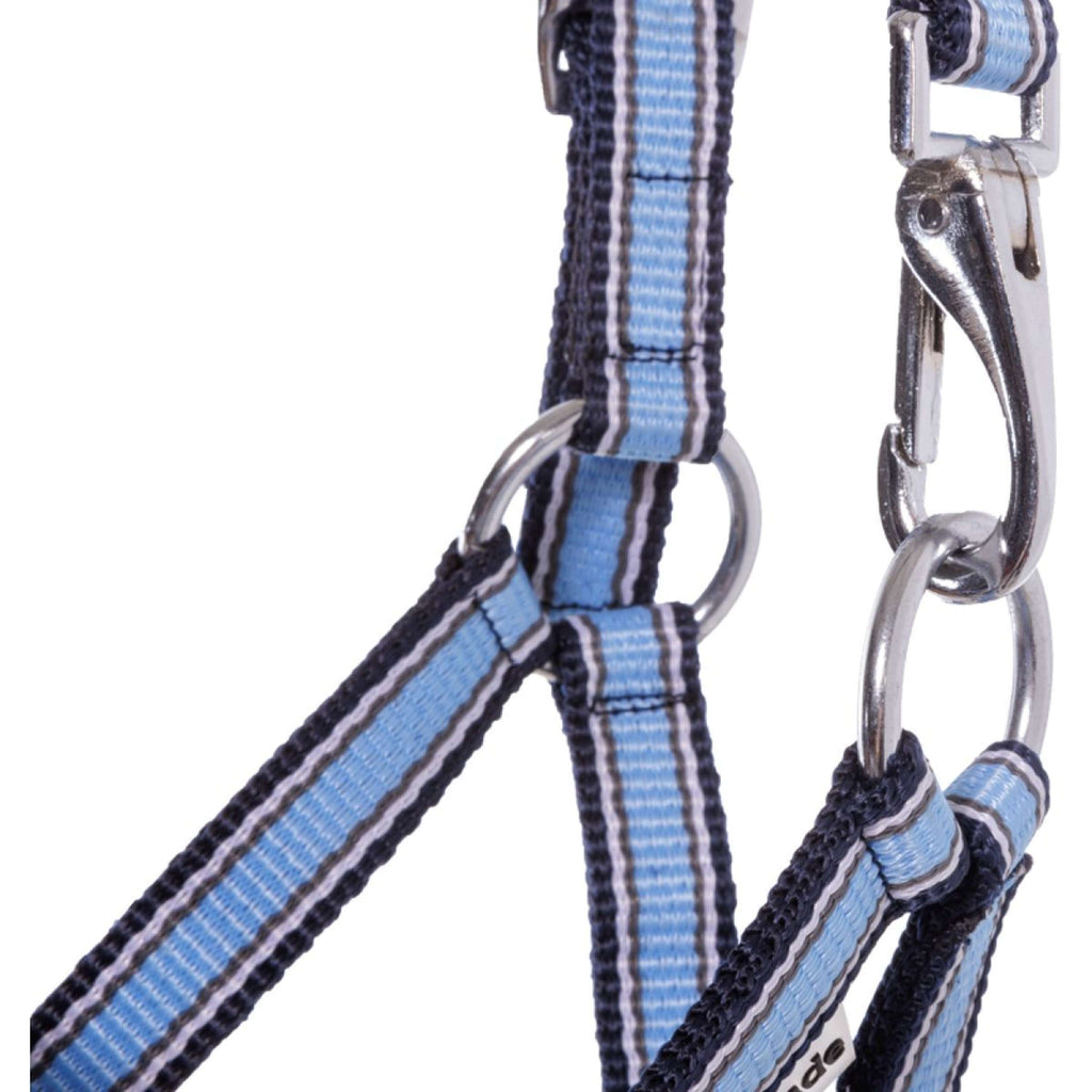 Kavalkade Cabestro Foal/Yearling Azul claro/azul marino/blanco