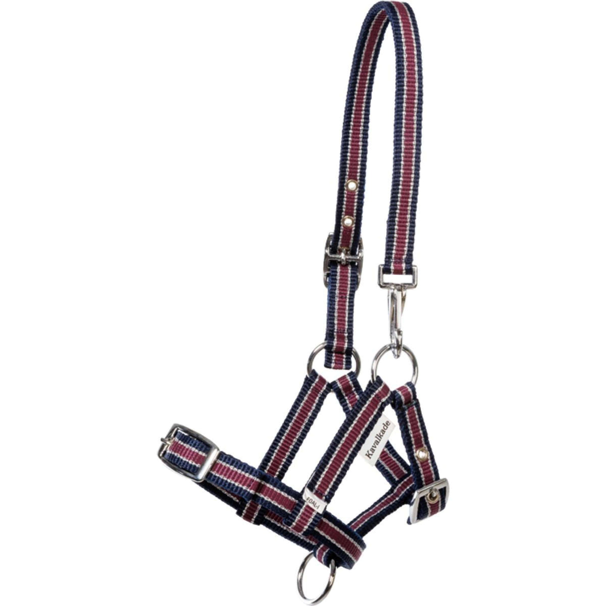 Kavalkade Cabezada Foal/Yearling Azul marino/Burdeos/Plata