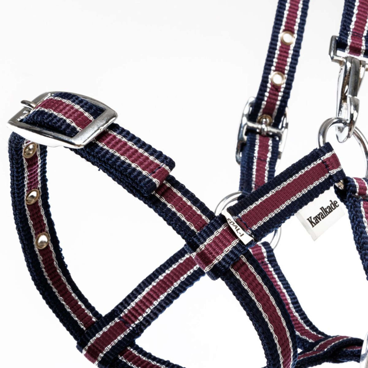 Kavalkade Cabezada Foal/Yearling Azul marino/Burdeos/Plata