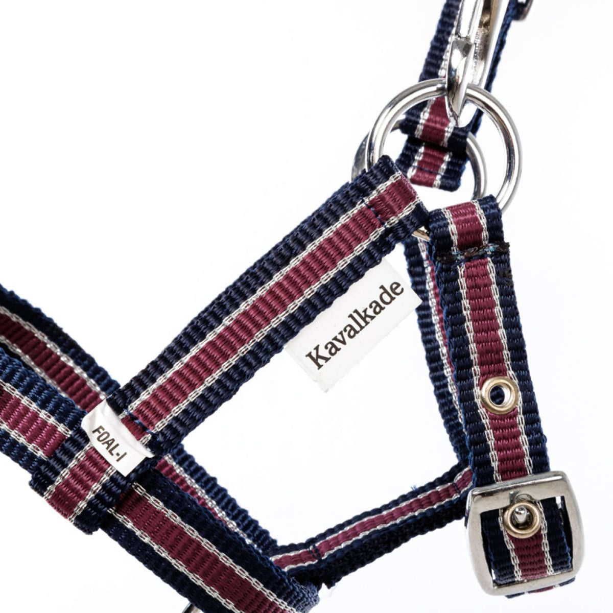 Kavalkade Cabezada Foal/Yearling Azul marino/Burdeos/Plata
