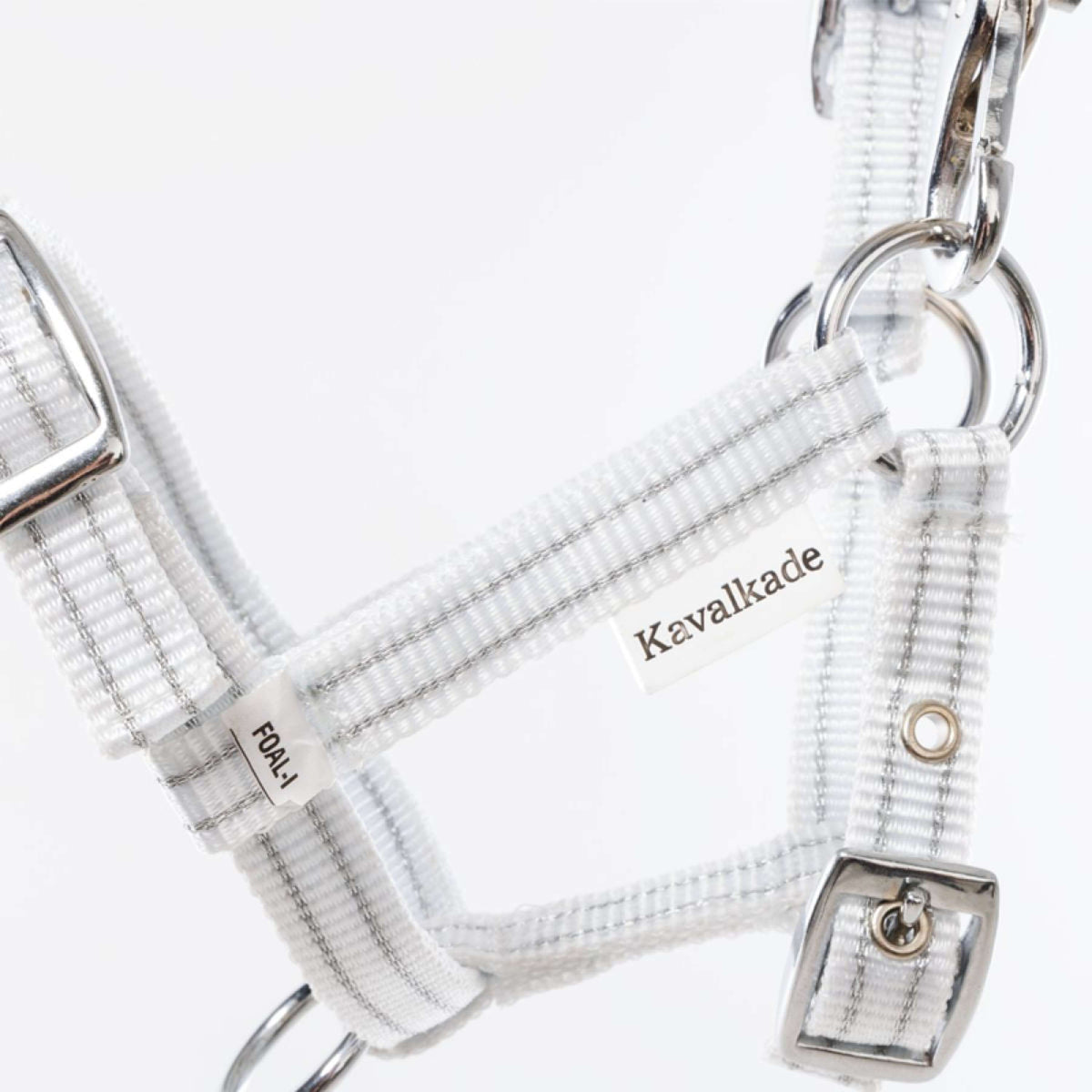 Kavalkade Cabezada Foal/Yearling Blanco/Plata