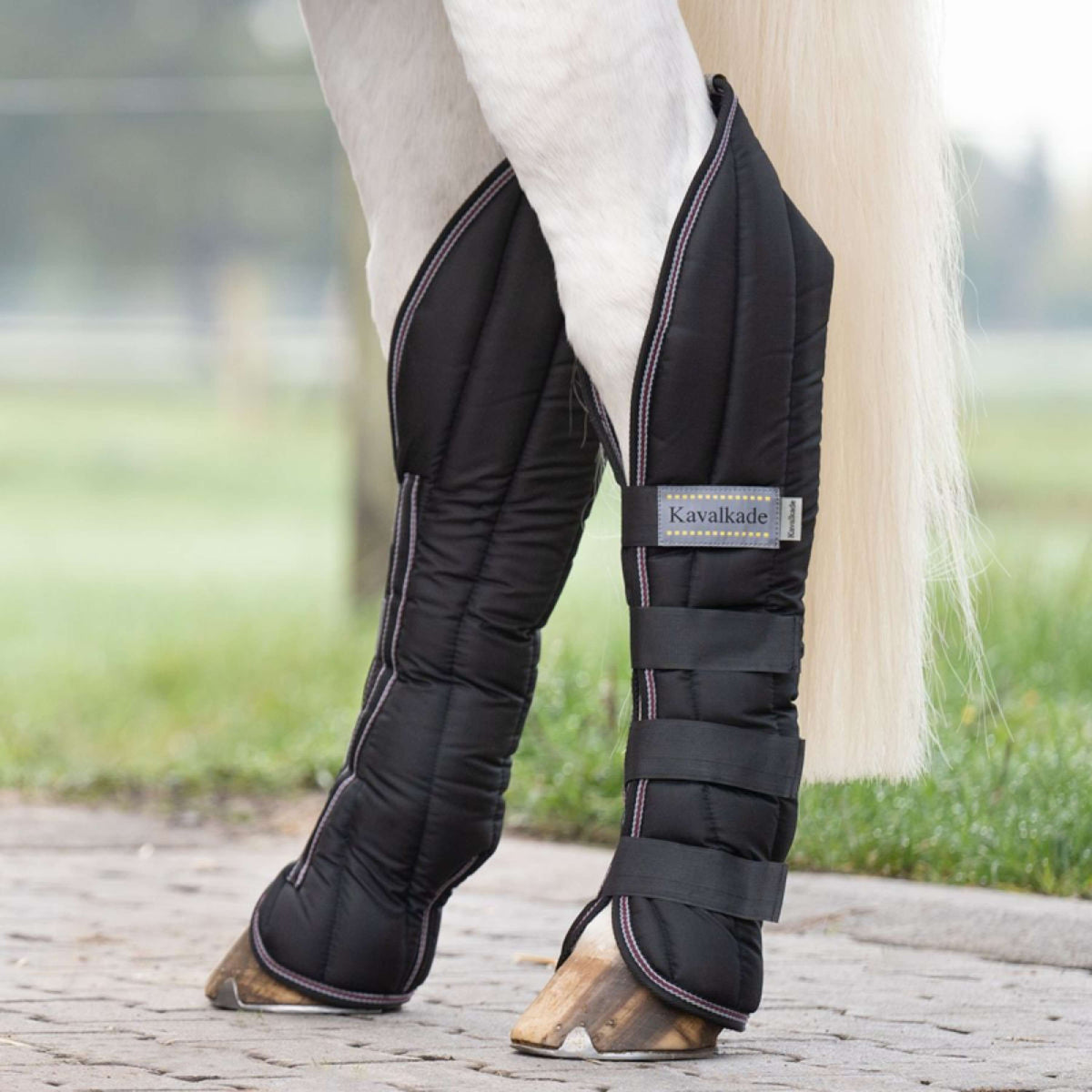 Kavalkade Protectores de transporte Negro