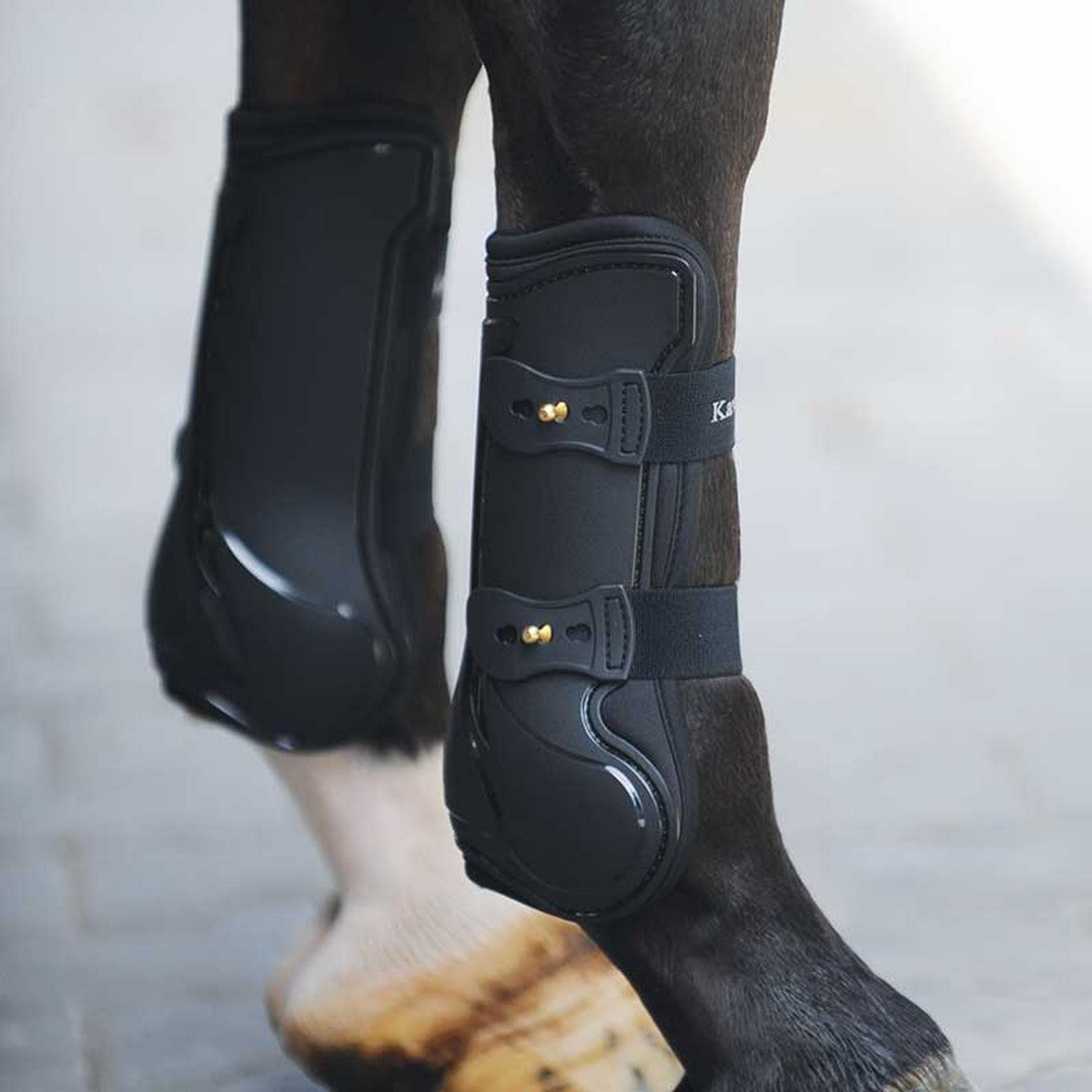 Kavalkade Botas para tendones Compete Negro