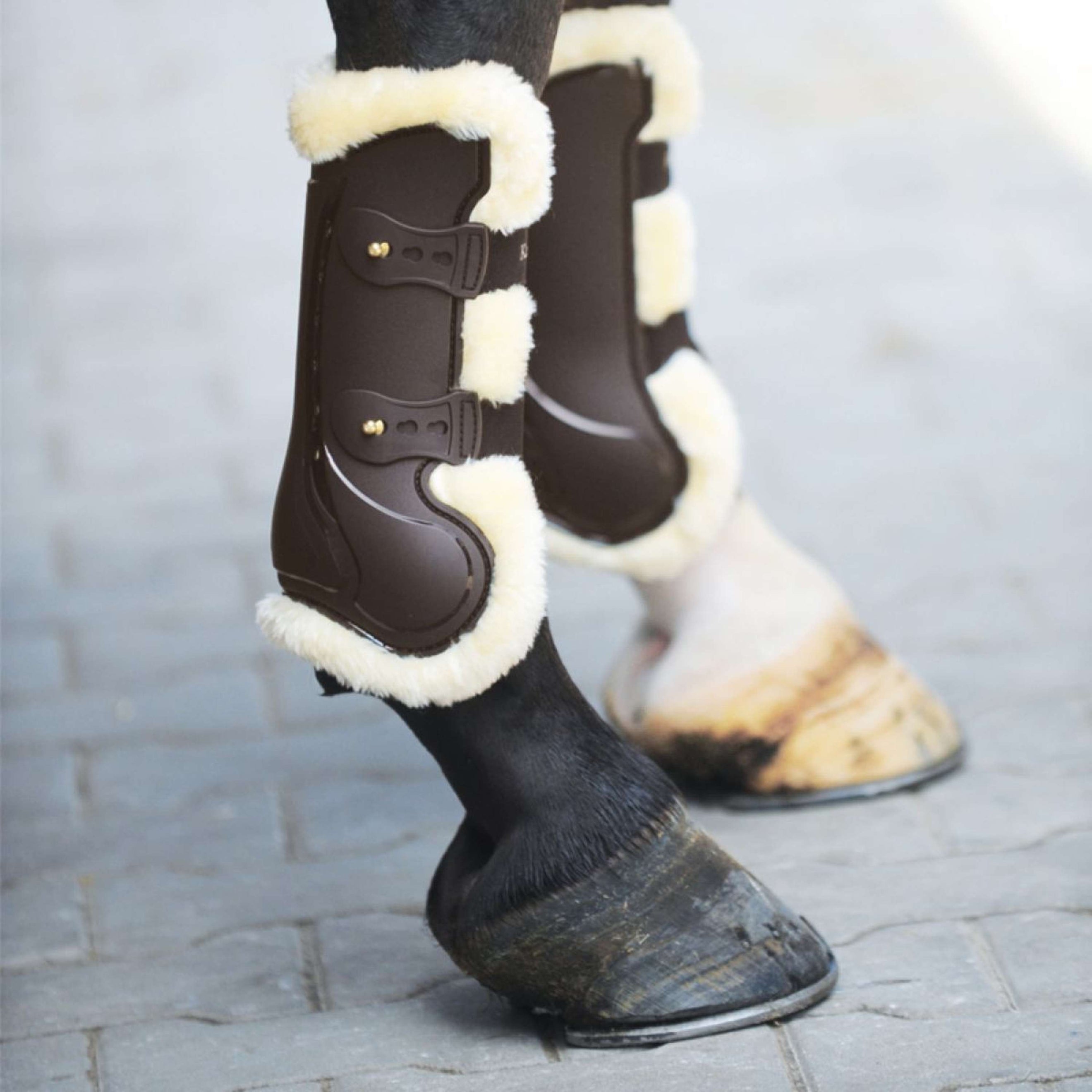 Kavalkade Botas para tendones Compete 'n Wool Marron
