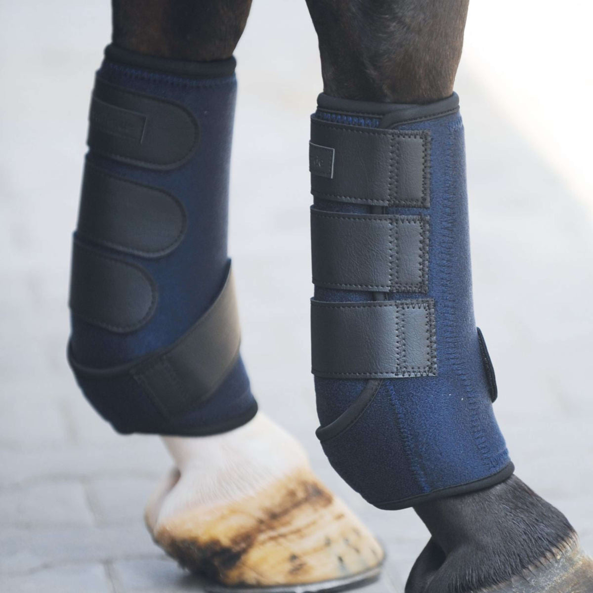 Kavalkade Flextrainers Allround Negro