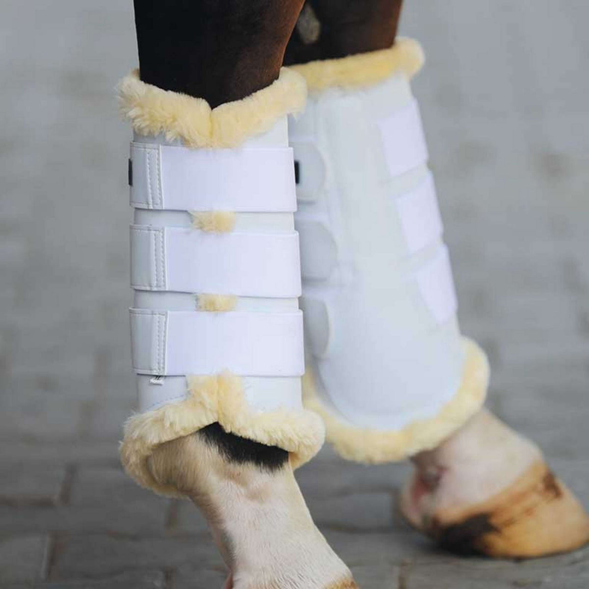 Kavalkade Botas para tendones Show Kunstleder Blanco