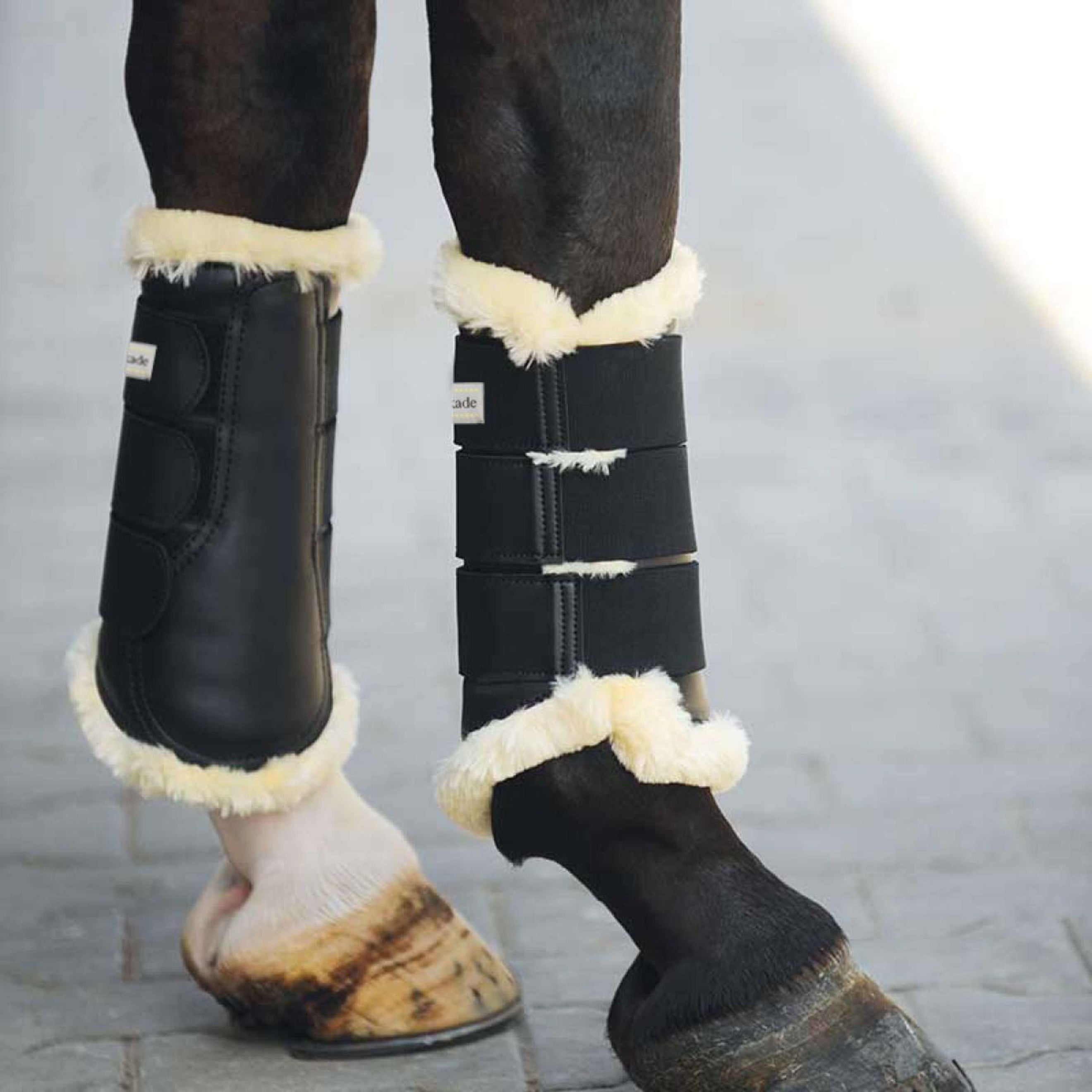 Kavalkade Botas para Tendones Show Kunstleder Negro