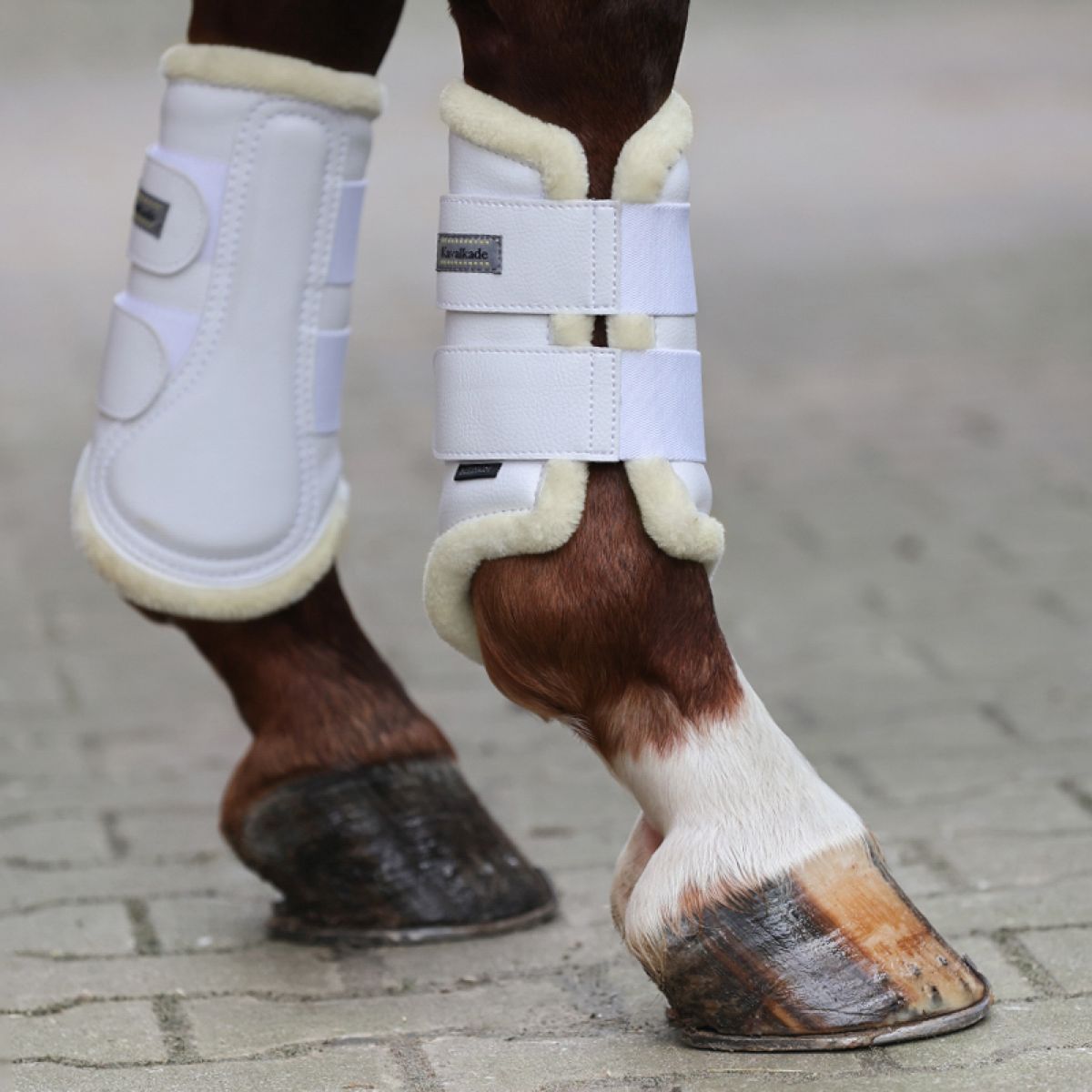 Kavalkade Dressage Boots con Pelo Sintético Blanco