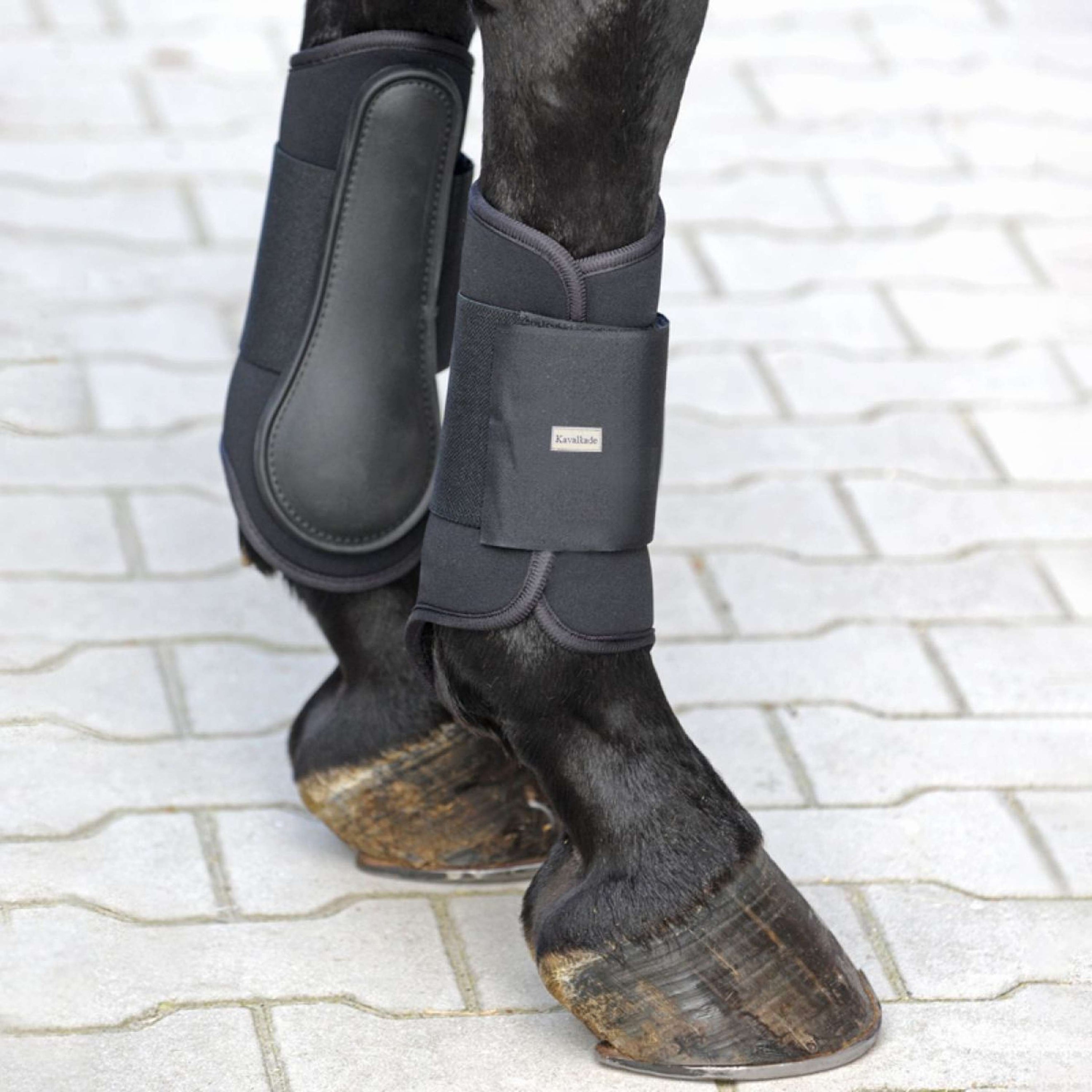 Kavalkade Botas para Tendones Softy Para Negro Kavalkade Botas para Tendones Softy Para Negro
