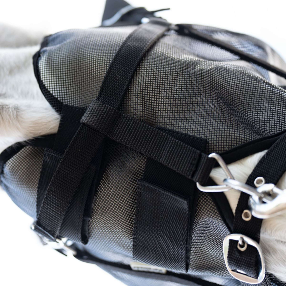 Kavalkade Máscara para Moscas Beugel Negro