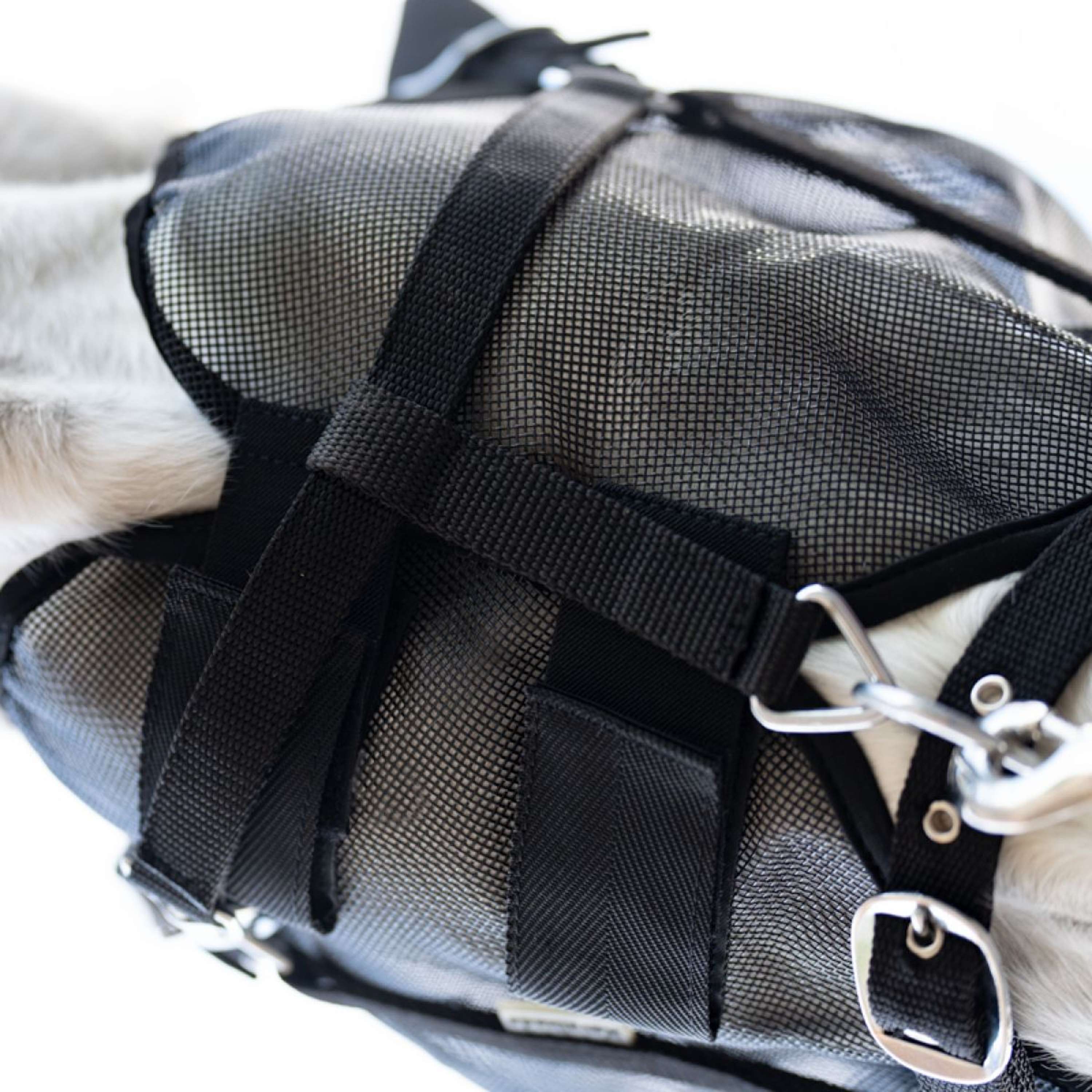 Kavalkade Máscara para Moscas Beugel Negro