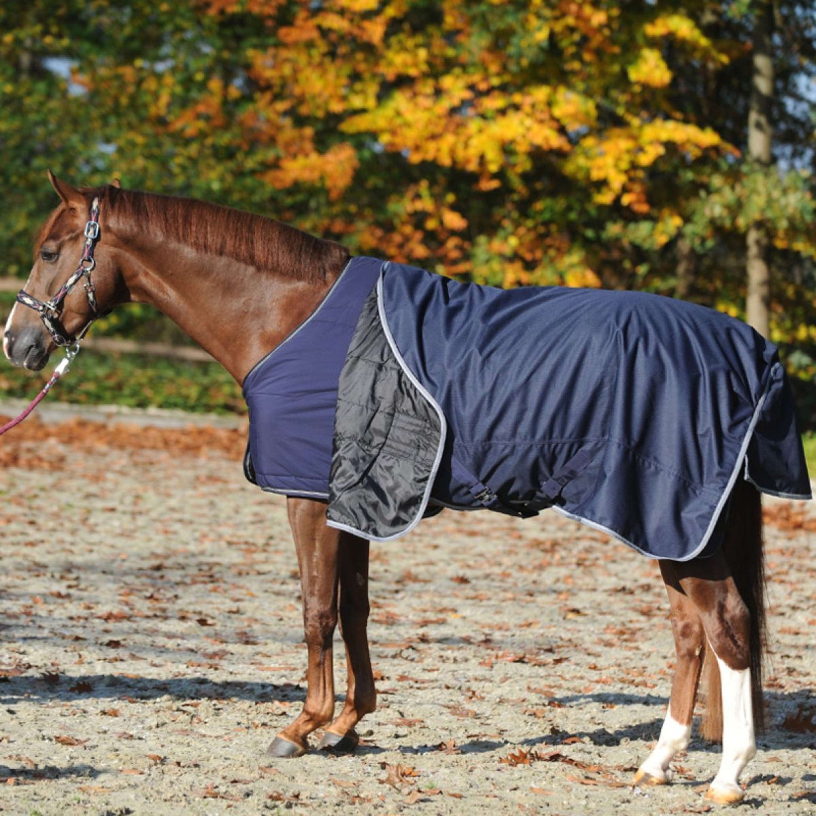 Kavalkade Bajoalfombra 150g Navy