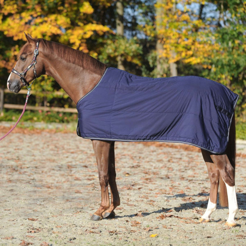 Kavalkade Bajoalfombra 150g Navy