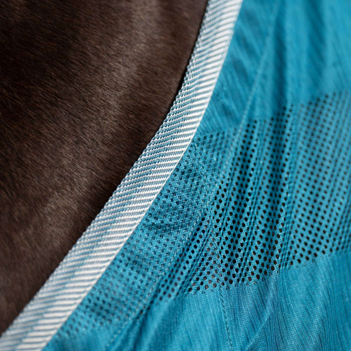 Kavalkade Manta Antimoscas Stripe Petrol