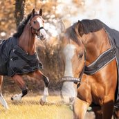 Kavalkade Manta Turnout / Moldeadora Halifax 2en1 50g Negro